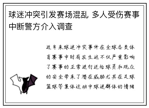球迷冲突引发赛场混乱 多人受伤赛事中断警方介入调查