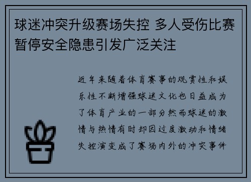 球迷冲突升级赛场失控 多人受伤比赛暂停安全隐患引发广泛关注